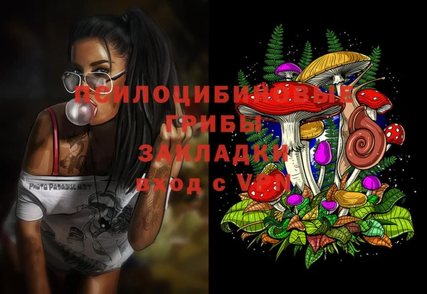 первитин Горнозаводск