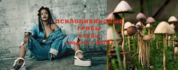 первитин Горнозаводск