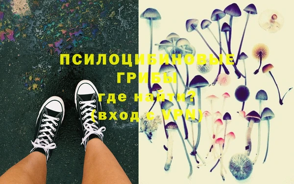 первитин Горнозаводск