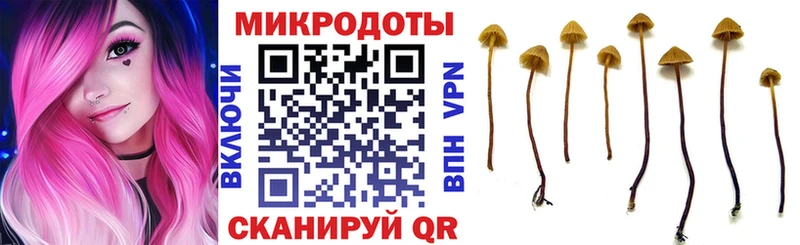 Купить где  Артёмовск  Галлюциногенные грибы прущие грибы 